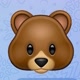 🐻🐻🐻