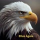 Ellus Águia