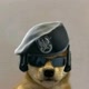 [dog_militar]🇧🇷