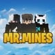 Mr Mines