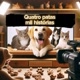 Quatro patas, mil histórias 🐶