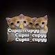 Cupiii_cupyy
