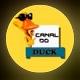 Canal do Duck