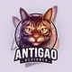 Antigao_Designer