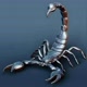 🦂Scorpion"03🦂