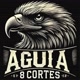 Águia8_Cortes 🎬