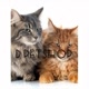 d_petshop