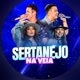 🤠SERTANEJO NA VEIA🎵🎸