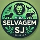 VIDA_SELVAGEM_SJ✅️