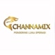 Channamix Store