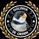 golinha limpo