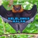 kelelawar malam