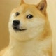 BLUELOCK DOGE GAMING