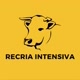 RECRIA INTENSIVA| Pecuária | Dicas