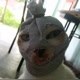 Meme kucing