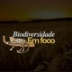 Biodiversidade Em Foco