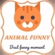 Animals Funny Moment