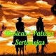 🎶  músicas e paixões sertanejas 🎶