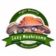 Izzy Mushrooms
