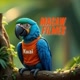 Macaw Filmes