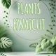 PLANTS KWAICUT