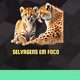 selvagens em foco