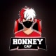 HONNEY GAMER