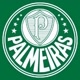 Palmeiras.posts