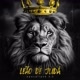 Leão_da_tribo_de judá🦁👑