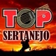 🎵🎸 TOP SERTANEJO 🎵🤠