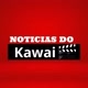 Notícias do Kawai 📸