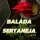 BALADA SERTANEJA 🎼