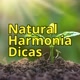 Natural Harmonia Dicas
