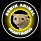 DEMIK ANIMAL
