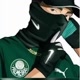 Palmeiras