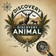 Discovery Animal