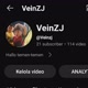 VeinZJ