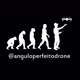 Ângulo Perfeito Drone