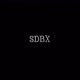 SDX BASS