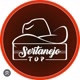 Status_sertanejo_top