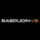 Saepudinve