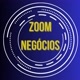 Zoom Negócios