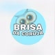 Corujinha Brisa Nachynarrara 🦉