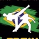 Capoeira Brasil