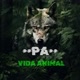 PA_vidaanimal🐺🪻🪴🌲