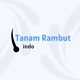 Tanam Rambut Indo