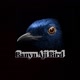 Banyu aji Bird