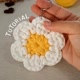 Crochetando com Amor