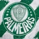PALMEIRAS Ferraz