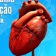 CIRURGIA EM DIAS